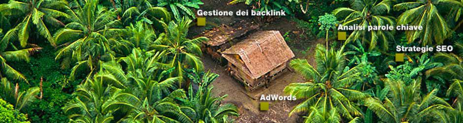 seonative Servizi SEO